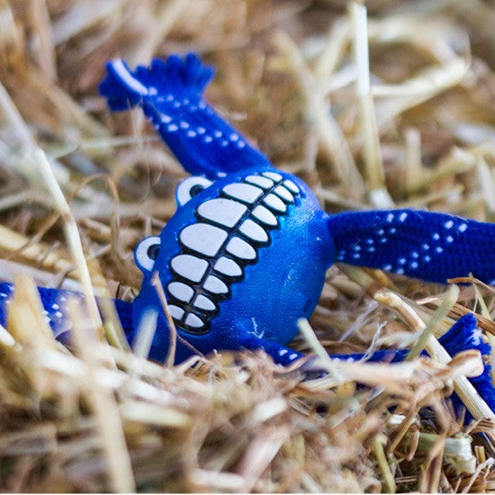 Rogz blue fish-shaped dog toy on straw background.