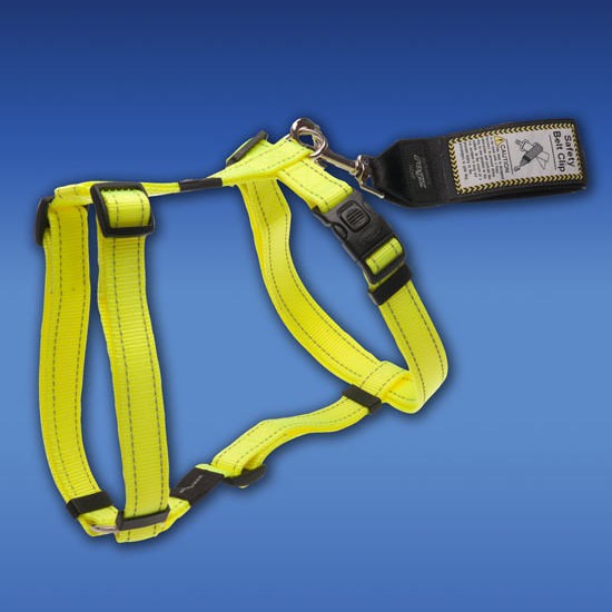 Rogz brand yellow dog harness on blue background.