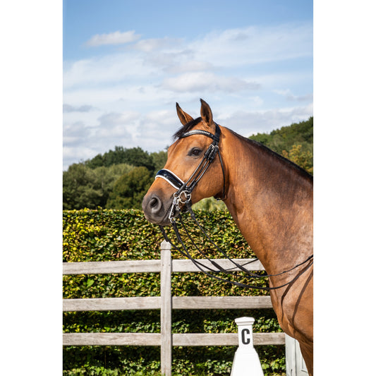 Dy'on Round Leather Collection- Patent Large Crank with White Padding Double Bridle-Little Equine Co-The Equestrian
