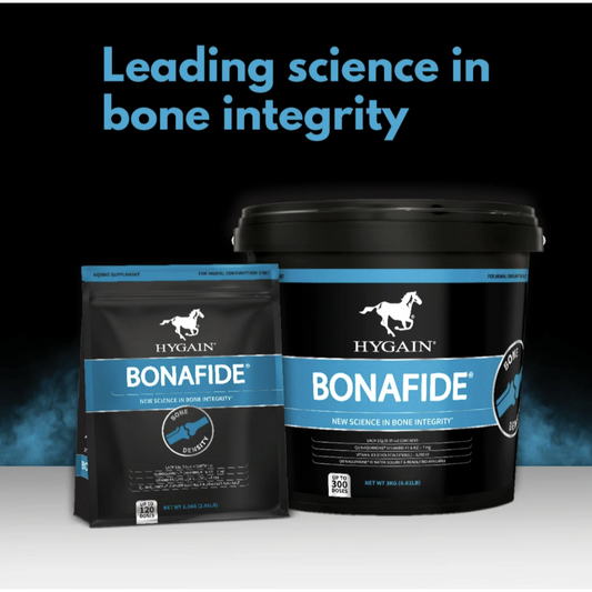 Hygain Bonafide Powder-Southern Sport Horses-The Equestrian