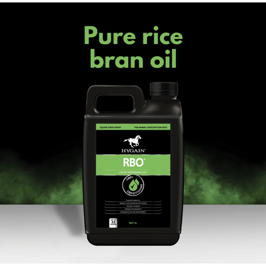 Hygain RBO-Southern Sport Horses-The Equestrian