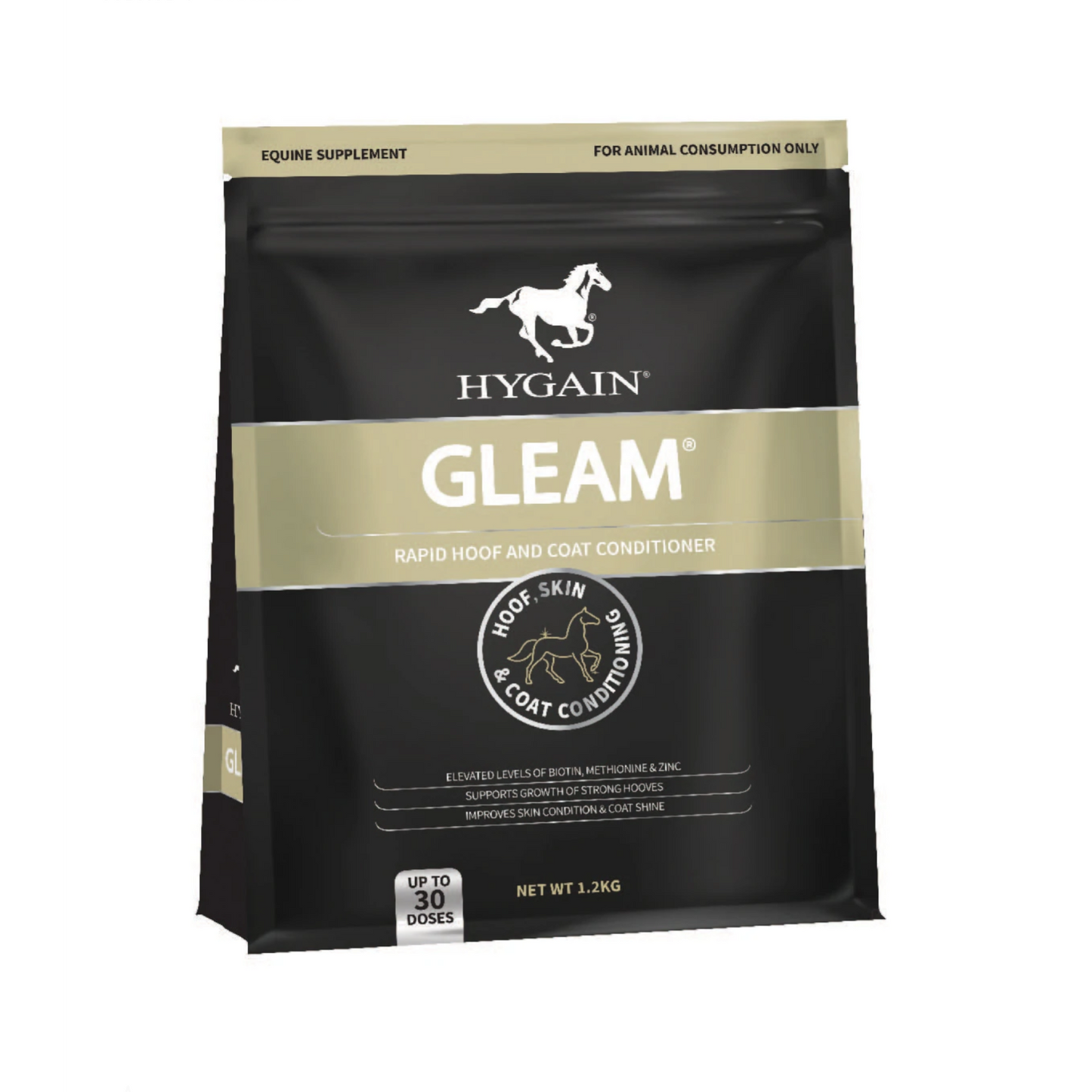 Hygain Gleam-Southern Sport Horses-The Equestrian