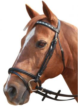 Bridle Hanoverian Linking Horsehead Showcraft Black-Ascot Saddlery-The Equestrian