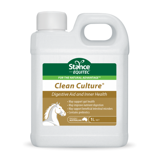 Stance Equitec Clean Culture-Trailrace Equestrian Outfitters-The Equestrian