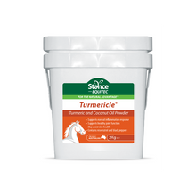 Stance Equitec joint supplements tub, Turmeric and Coconut Oil Powder.