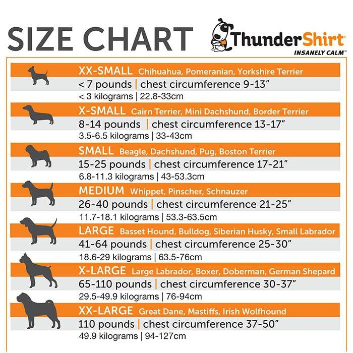 Thunder Anxiety Dog Shirt-Ascot Saddlery-The Equestrian