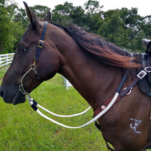Side view of a bridled horse wearing Thinline gear outdoors.