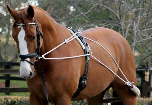 Training System Zilco-Ascot Saddlery-The Equestrian