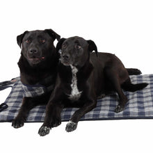 Tweedmill Tweed Dog Coat Navy Check & Navy-Ascot Saddlery-The Equestrian