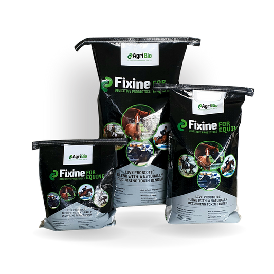 Fixine for Equine | Digestive Probiotic-CAN Animal Care-The Equestrian