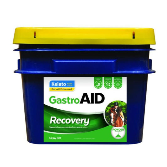 Kelato Gastroaid Recovery-Trailrace Equestrian Outfitters-The Equestrian