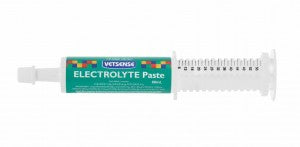 Vetsense Electrolyte Paste 60ml-Ascot Saddlery-The Equestrian