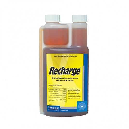 Recharge Virbac 1litre-Ascot Saddlery-The Equestrian