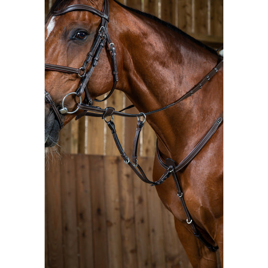 Working by Dy'on - Running Martingale Attachment-Little Equine Co-The Equestrian