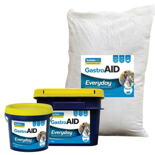 Kelato Gastro Aid Everyday-Trailrace Equestrian Outfitters-The Equestrian
