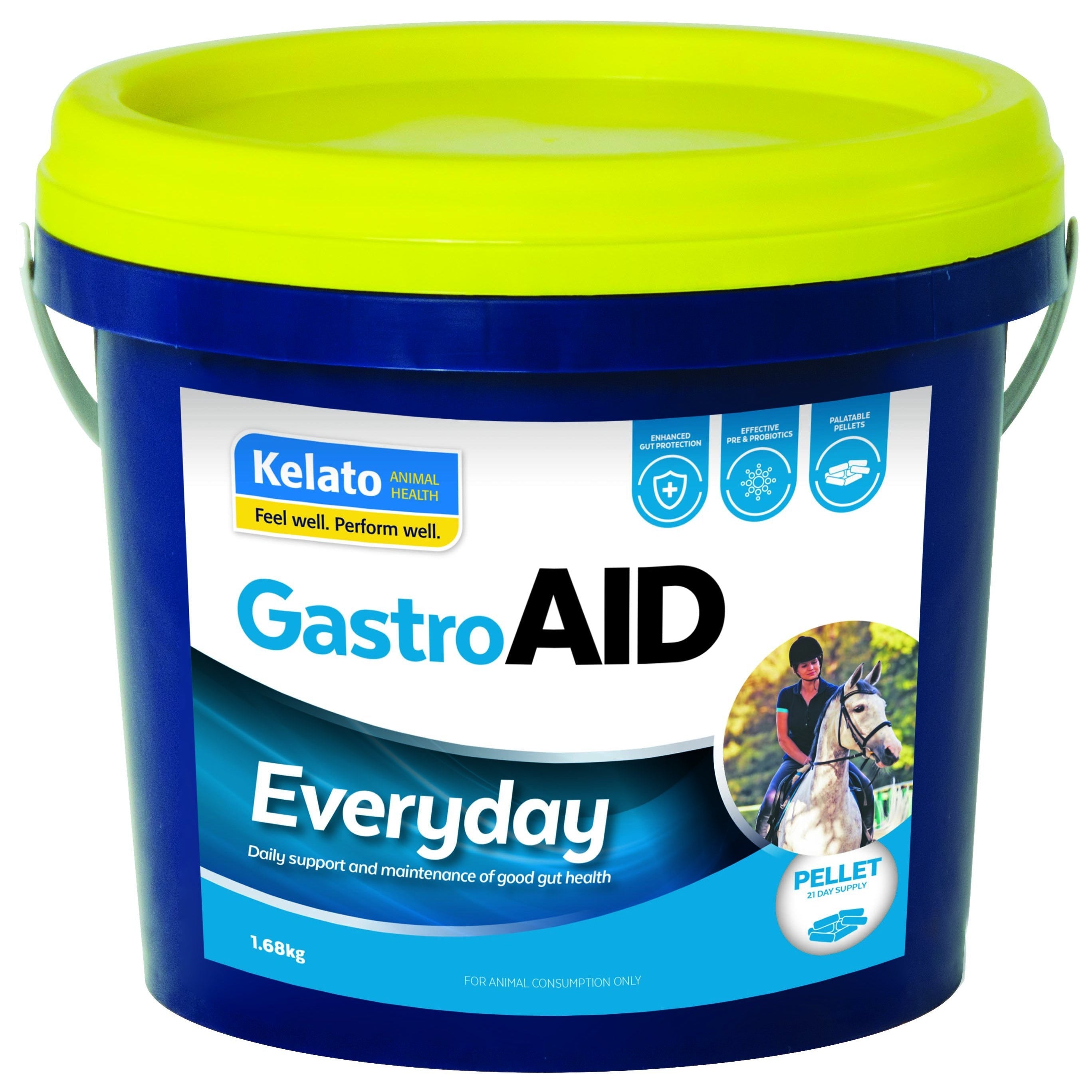 Kelato GastroAID Everyday, equine gut health supplement in blue container.
