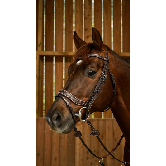 Working by Dy'on - Working Fit Bridle - Brown Full-Little Equine Co-The Equestrian