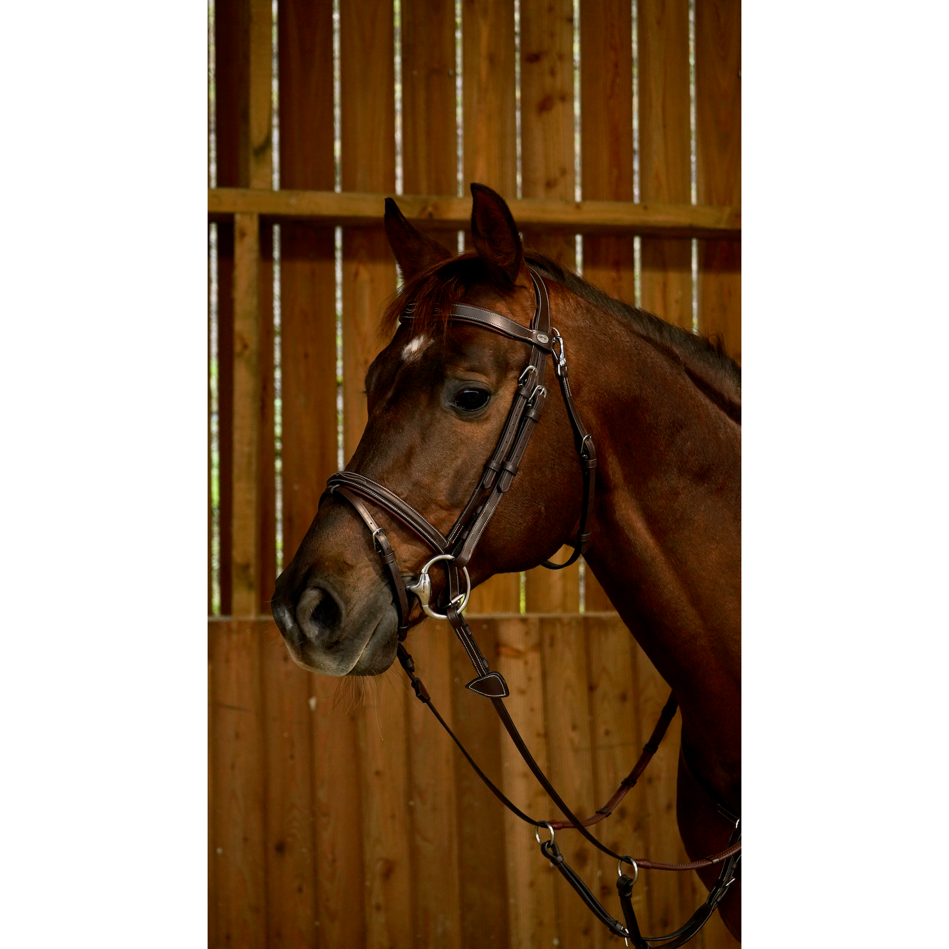 Working by Dy'on - Flash Noseband Bridle with Snap Hooks-Little Equine Co-The Equestrian