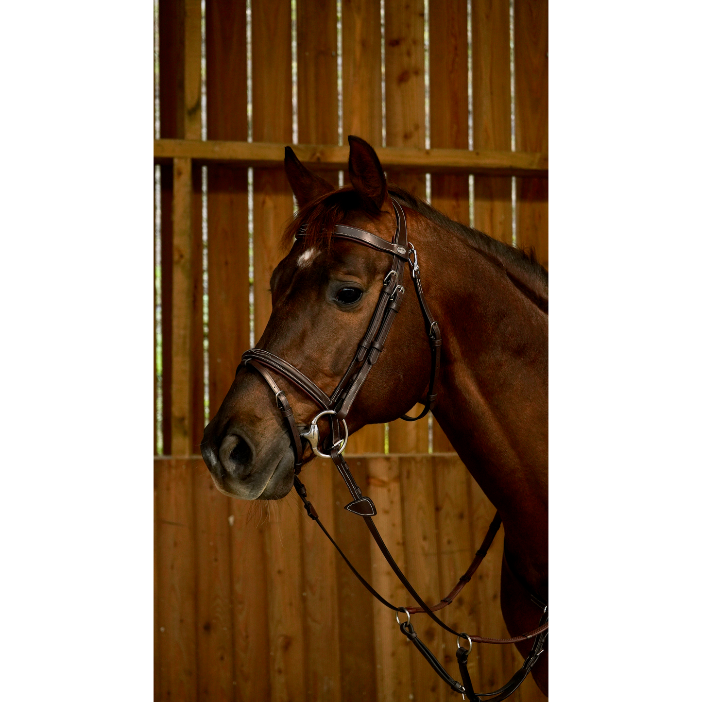 Working by Dy'on - Flash Noseband Bridle with Snap Hooks-Little Equine Co-The Equestrian
