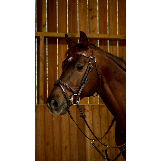 Working by Dy'on - Flash Noseband Bridle with Snap Hooks-Little Equine Co-The Equestrian