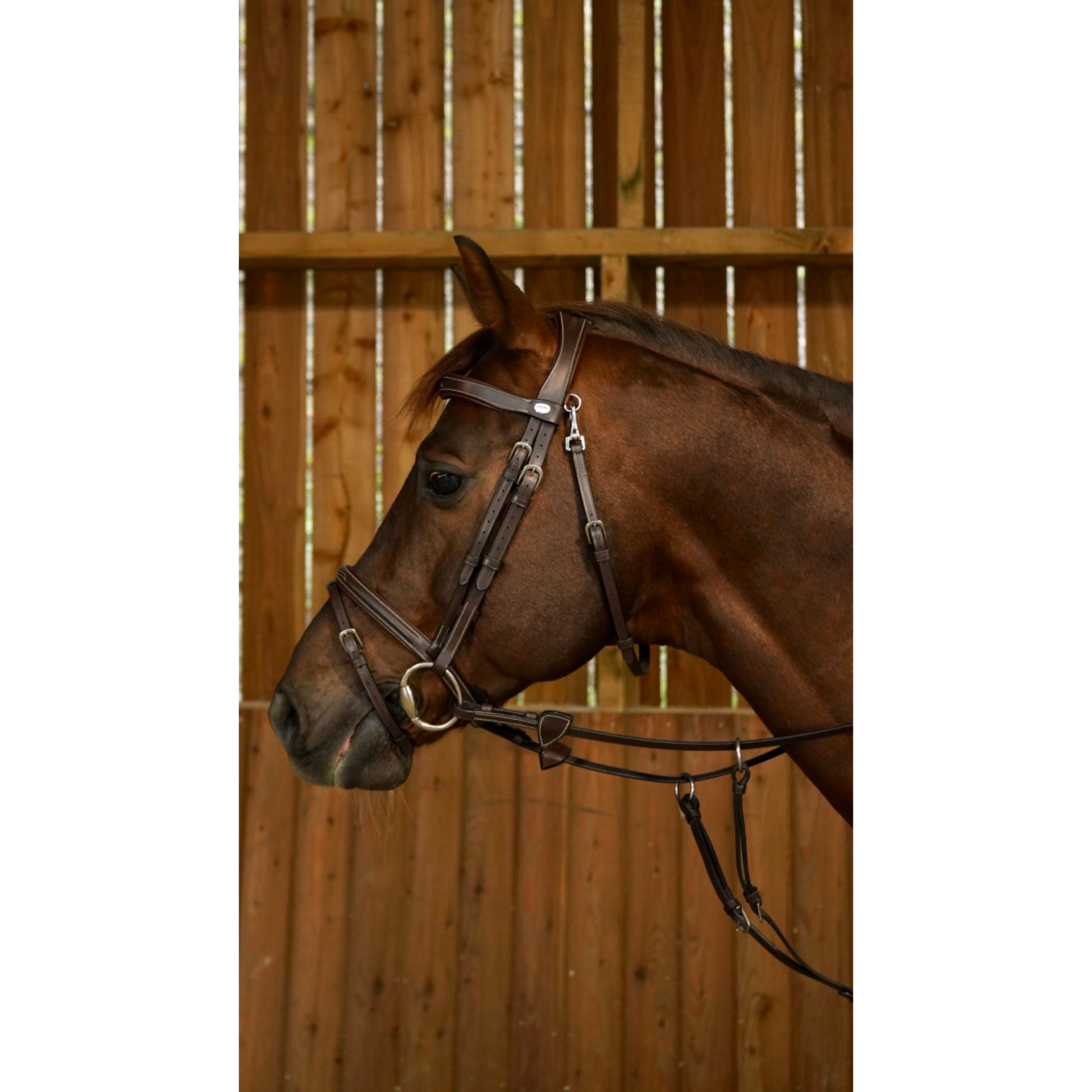 Working by Dy'on - Flash Noseband Bridle with Snap Hooks-Little Equine Co-The Equestrian