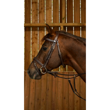 Working by Dy'on - Flash Noseband Bridle with Snap Hooks-Little Equine Co-The Equestrian
