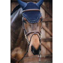 Brown horse wearing a dark blue fly veil.