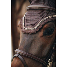 Fly veil for horses, brown with decorative edging and trim.