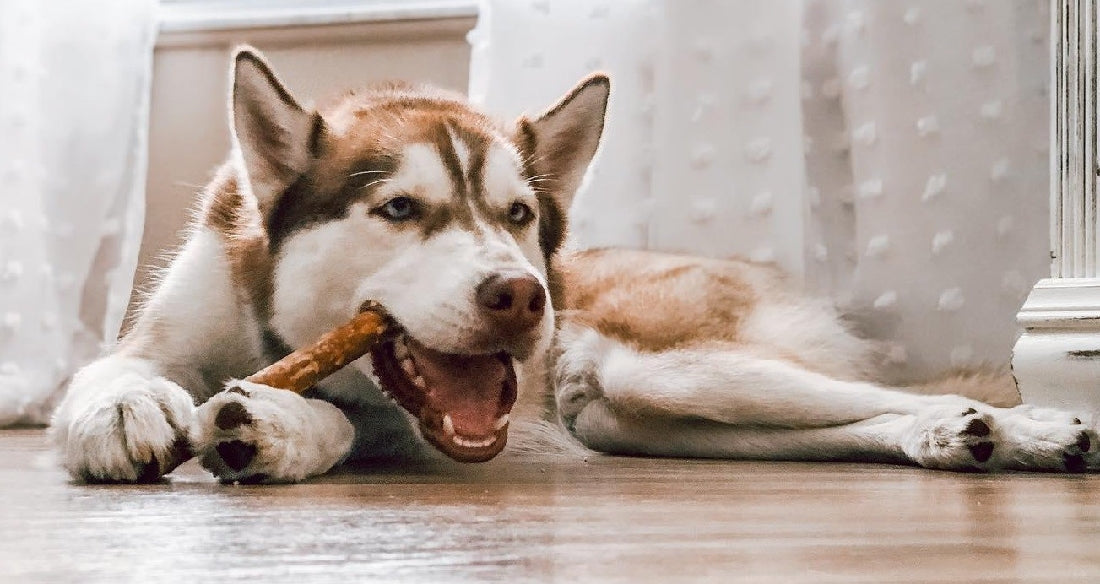 Whimzees Treat Sausage Value Bag 28-Ascot Saddlery-The Equestrian