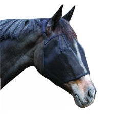 Horse wearing black fly veil, covering eyes and ears.