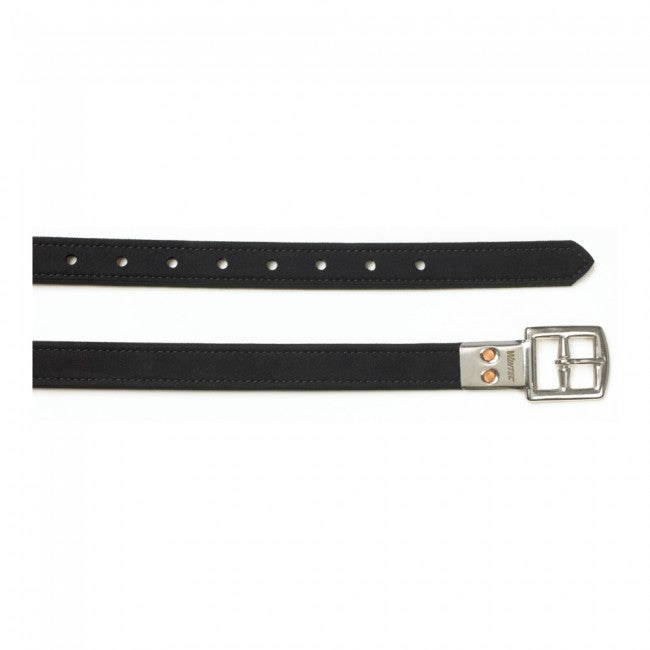 Stirrup leathers, black with a stainless steel buckle on white background.