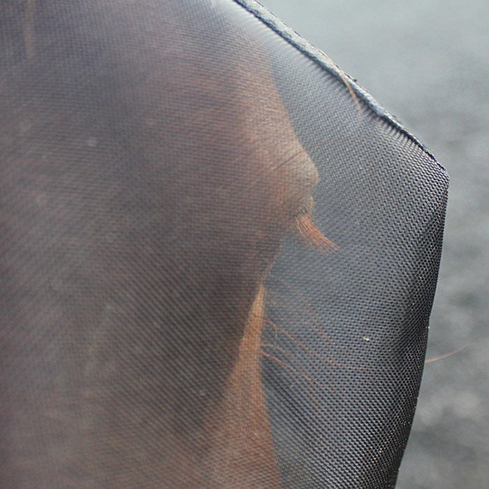 Flymask Woof Wear Uv-Ascot Saddlery-The Equestrian