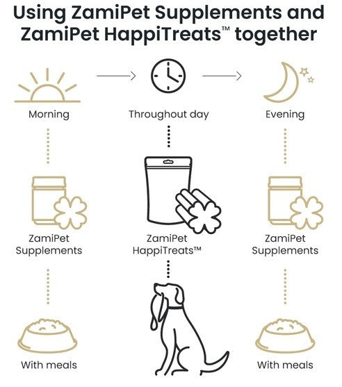 Alt: Schedule showing Zamipet Supplements and HappiTreats usage morning to evening.