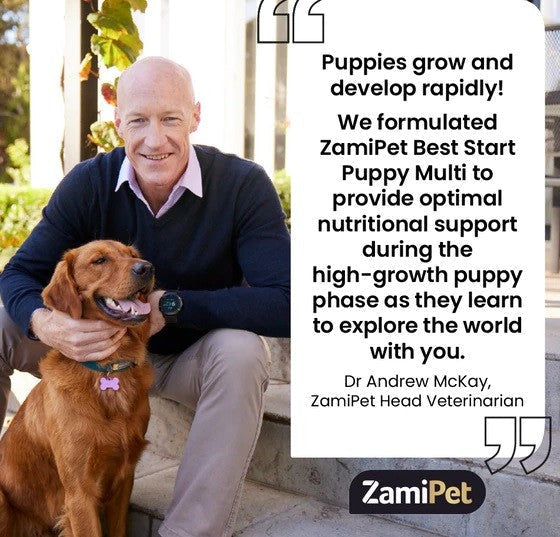 Man with dog promoting Zamipet Best Start Puppy Multi vitamins.