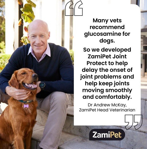 Man with dog promoting Zamipet Joint Protect supplement for canines.