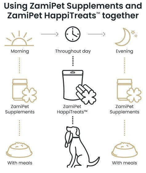 ZamiPet supplements and HappiTreats daily schedule infographic for dogs.