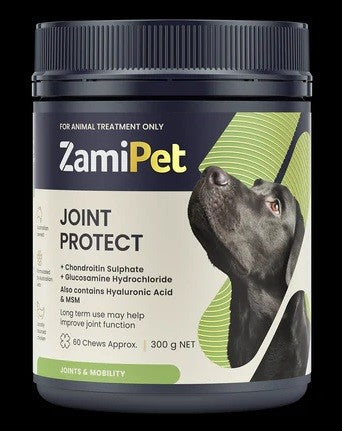 Zamipet Joint Protect supplement for dogs, container with 300g chews.