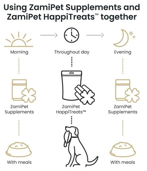 ZamiPet Supplements and HappiTreats daily usage schedule for dogs.