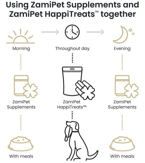 Alt text: Zamipet daily routine using Supplements and HappiTreats for dog wellness.