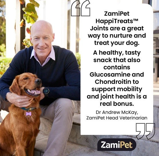 Zamipet HappiTreats, vet with dog, promoting joint health snacks.