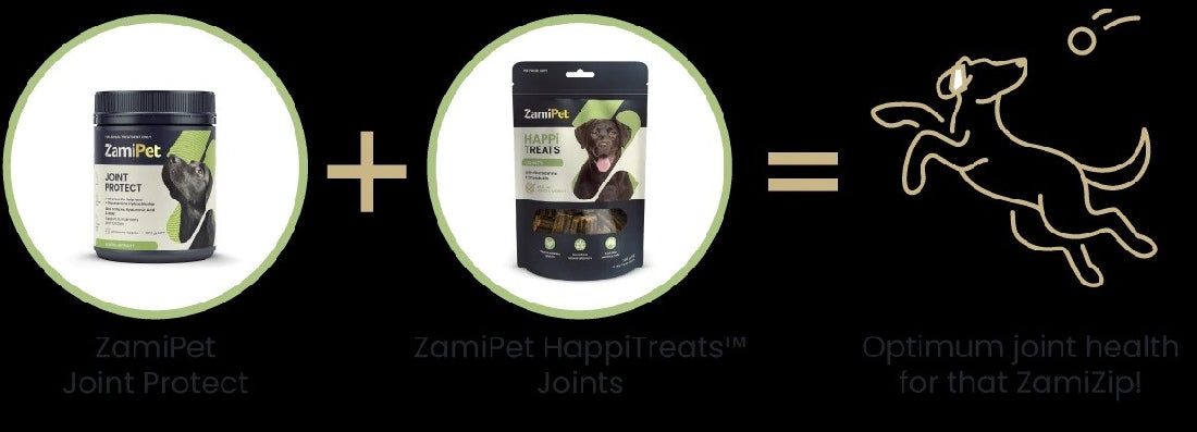 Zamipet Joint Protect and HappiTreats for optimum dog joint health.