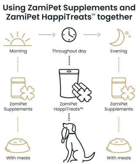 Alt text: Zamipet daily routine with Supplements and HappiTreats, morning to evening.