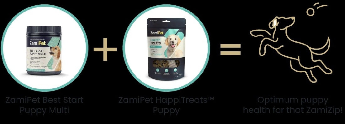 ZamiPet Best Start Puppy Multi vitamins plus HappiTreats equals healthy puppy.