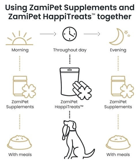 Alt text: Schedule for Zamipet Supplements and HappiTreats™, using icons, dog, sun, and moon.