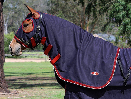 Horse covered in dark navy branded horse show rug outdoors.