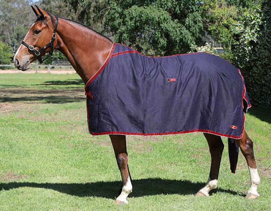 Horse wearing a dark blue horse show rug with red trim outdoors.