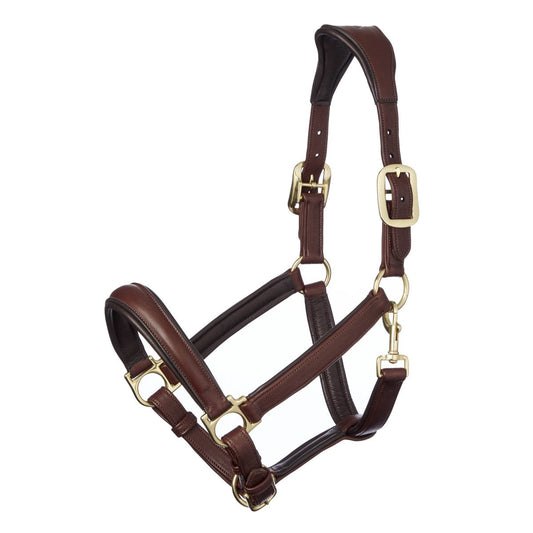 LeMieux Leather Anatomic Headcollar - High-Quality Equestrian Gear-Southern Sport Horses-The Equestrian