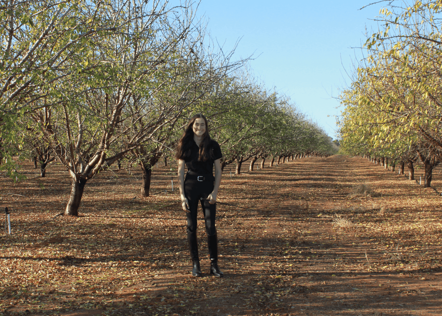 Woman in horse riding tights stands among orchard tree rows.