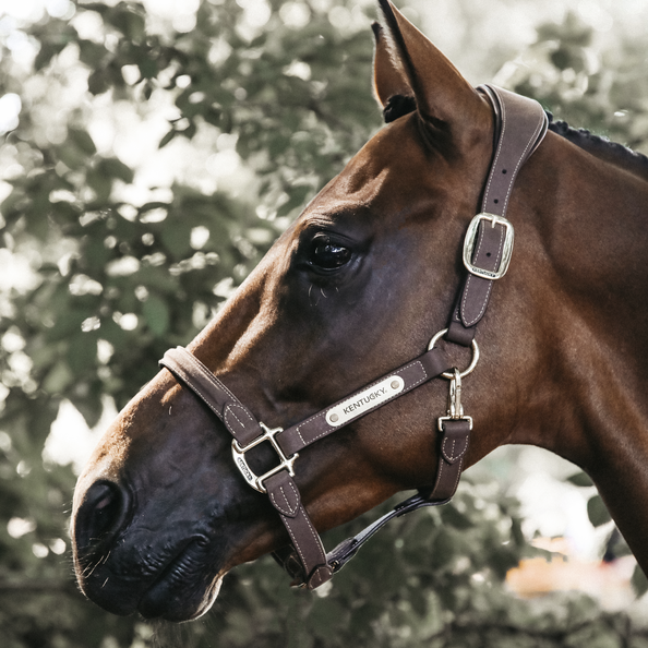 Kentucky Leather Anatomic Halter-Dapple EQ-The Equestrian