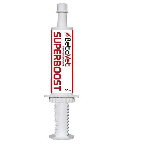 BetaVet SuperBoost Paste 30g-Trailrace Equestrian Outfitters-The Equestrian